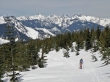 Amabilis Mtn