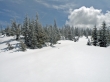 Amabilis Mtn