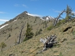 Freedom Peak