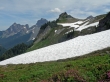 Yellow Aster Butte