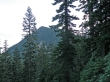 Avalanche Mtn