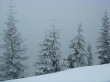 Kendall Knob