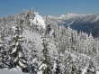 Amabilis Mtn