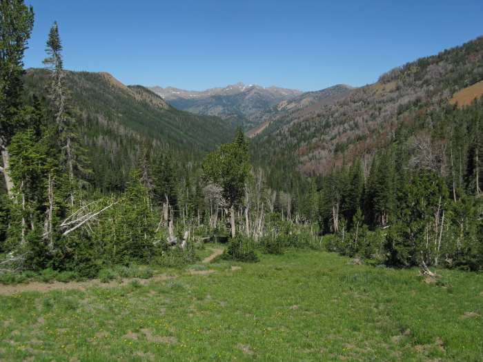 Escape to the Pines: Your Guide to Idaho's Phi Kappa Campground