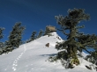 Red Top Mountain