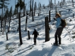 Tumwater Mountain