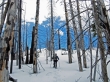 Icicle Ridge