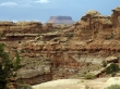 Slickrock Trail - Canyonlands National Park