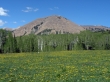 Haystack Mountain - La Sal Mountains