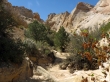 Surprise Canyon