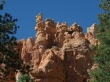 Navaho Loop and Bristlecone Loop