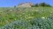 Death Canyon Point 10300
