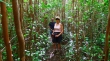 Iao Valley