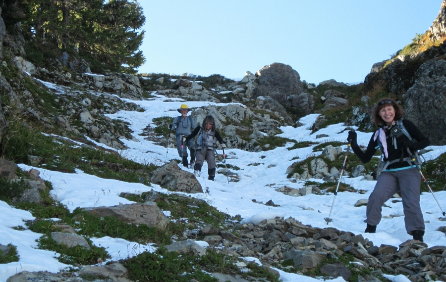 Website Design by Roger Gervin - Climb Mount Forgotten in the Glacier ...