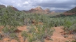 Soldier Pass