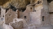 Spruce Tree House