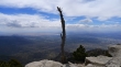 Sandia Crest