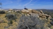 Inspiration Peak