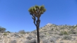 Warren Peak