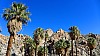 Lost Palms Oasis, Mastodon Peak