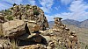 Gibbon Mountain