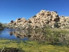 Cow Camp, Wonderland of Rocks