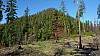 Tarzan Butte