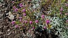 P1100508b.jpg