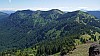 P1100605.jpg