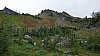 Cape Horn