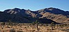 Quail Mountain, Mount Minerva Hoyt