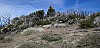 Palm View Peak, Point 7123