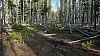 Vista Butte Area