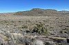 Joshua Tree Peak