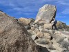 The Temple, Point 4243