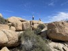 Wonderland of Rocks